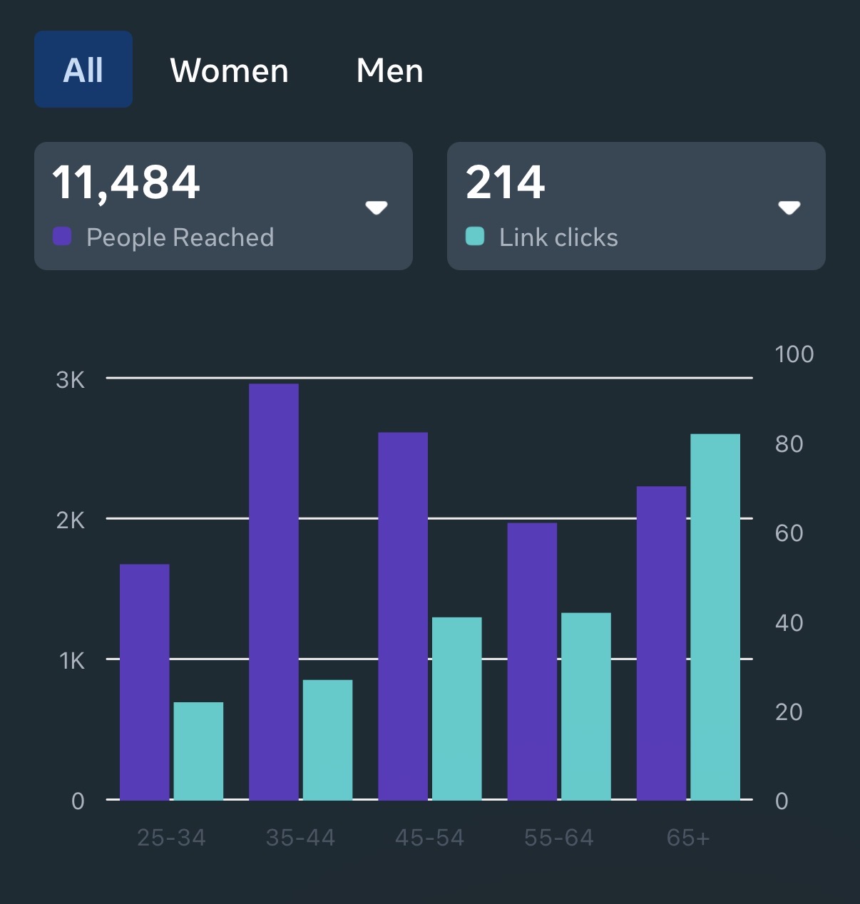 Meta Ads manager results